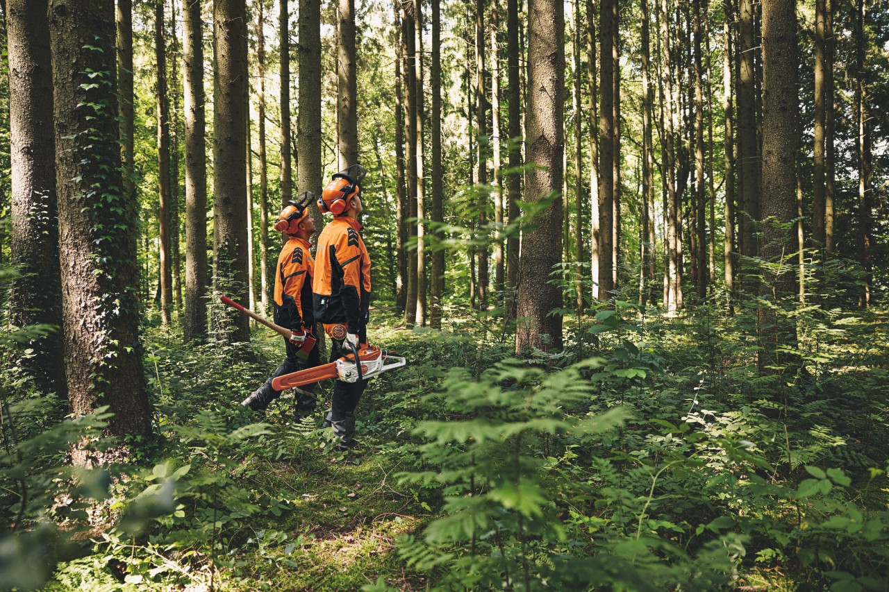Istoria STIHL