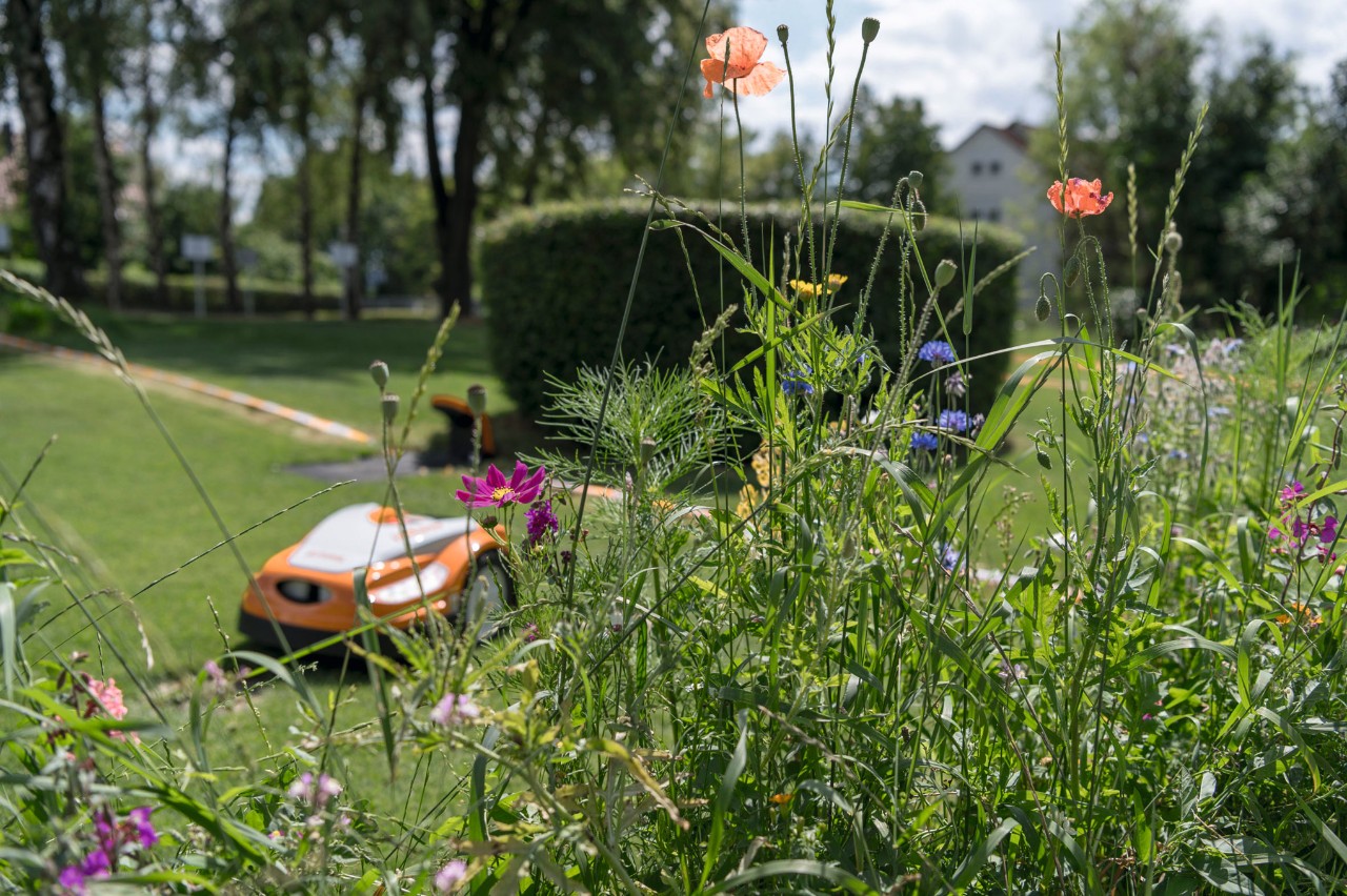 Biodiversitatea